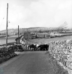 Grassington, 1968